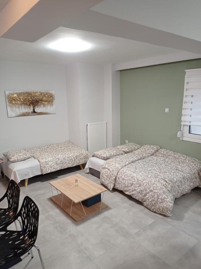 Central Home Apartment Trikala (Thessaly)